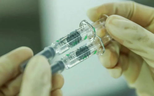 北京芯詣解讀 新冠病毒持續變異，你最關心的五大問題都在這里